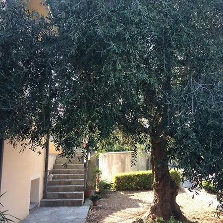 Al Mare Apartman *